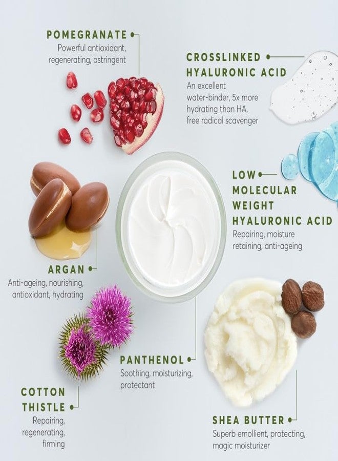 Aphrodite Night Cream - Image 4
